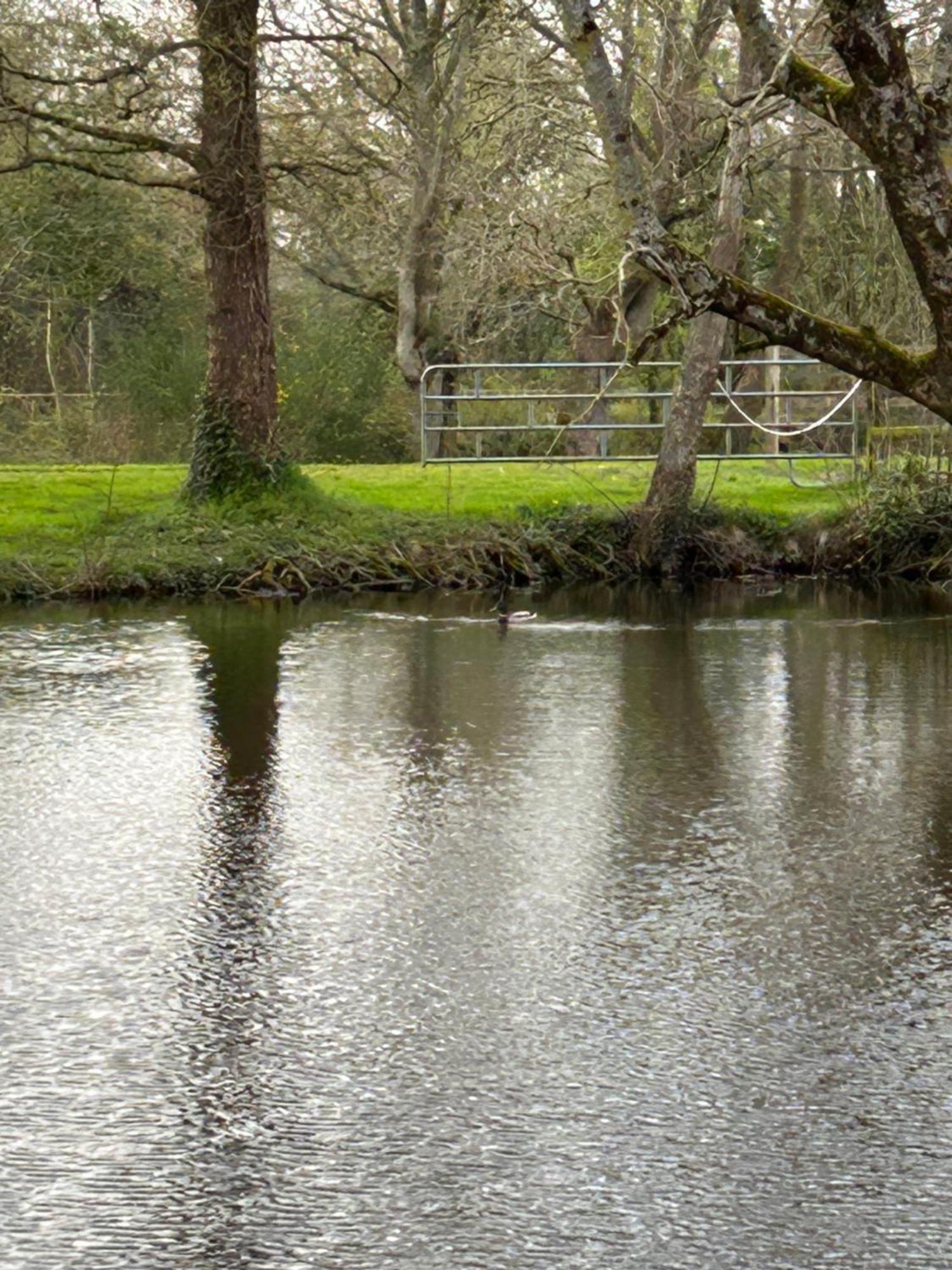 La Maison De L'Etang Manerbe المظهر الخارجي الصورة
