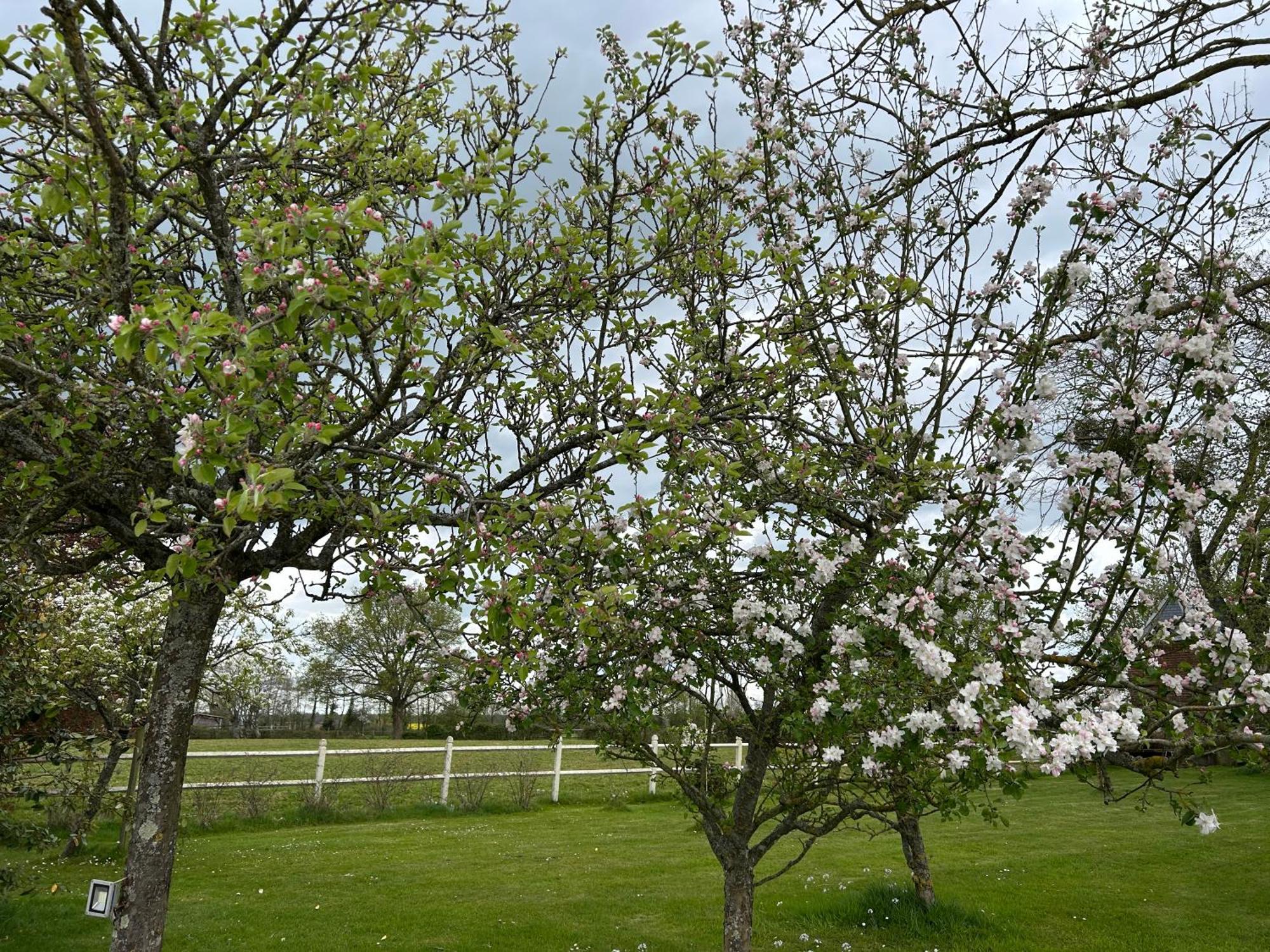 La Maison De L'Etang Manerbe المظهر الخارجي الصورة
